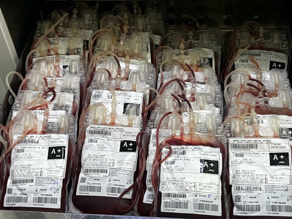 Do doador ao paciente: o percurso do sangue em Mato Grosso do Sul para salvar muitas vidas Do doador ao paciente: o percurso do sangue em Mato Grosso do Sul para salvar muitas vidas