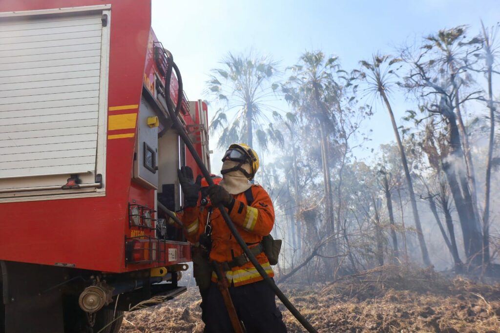 Com chuva abaixo da média e altas temperaturas, MS prepara ações de combate aos incêndios florestais Com chuva abaixo da média e altas temperaturas, MS prepara ações de combate aos incêndios florestais