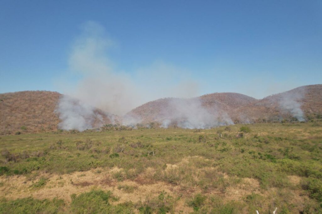 Com chuva abaixo da média e altas temperaturas, MS prepara ações de combate aos incêndios florestais Com chuva abaixo da média e altas temperaturas, MS prepara ações de combate aos incêndios florestais