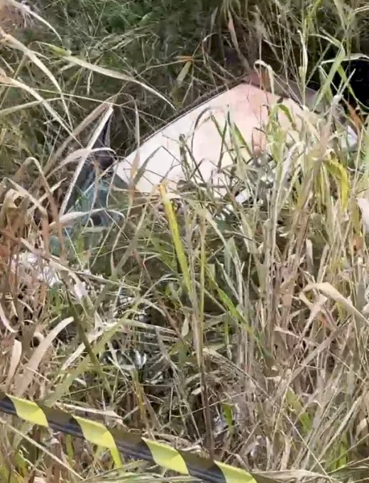 Trabalhadores encontrados mortos em Deodápolis estavam a caminho de casa