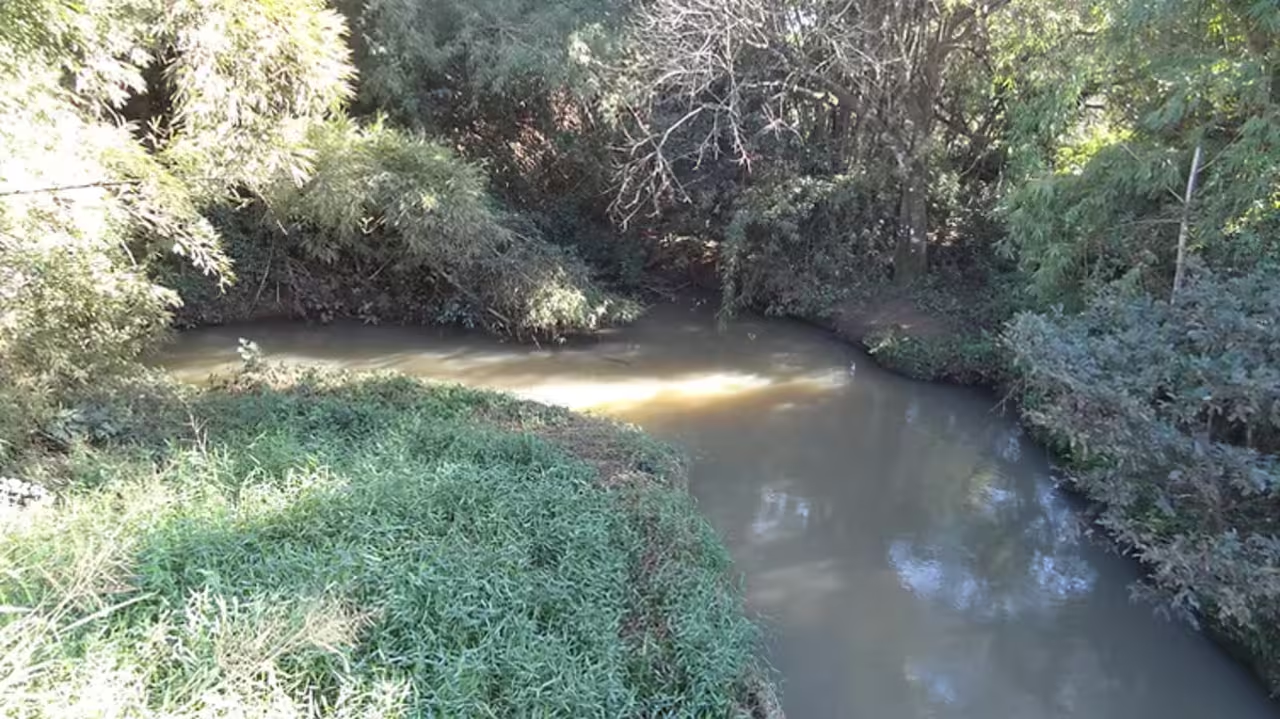 Imagem da Notícia
