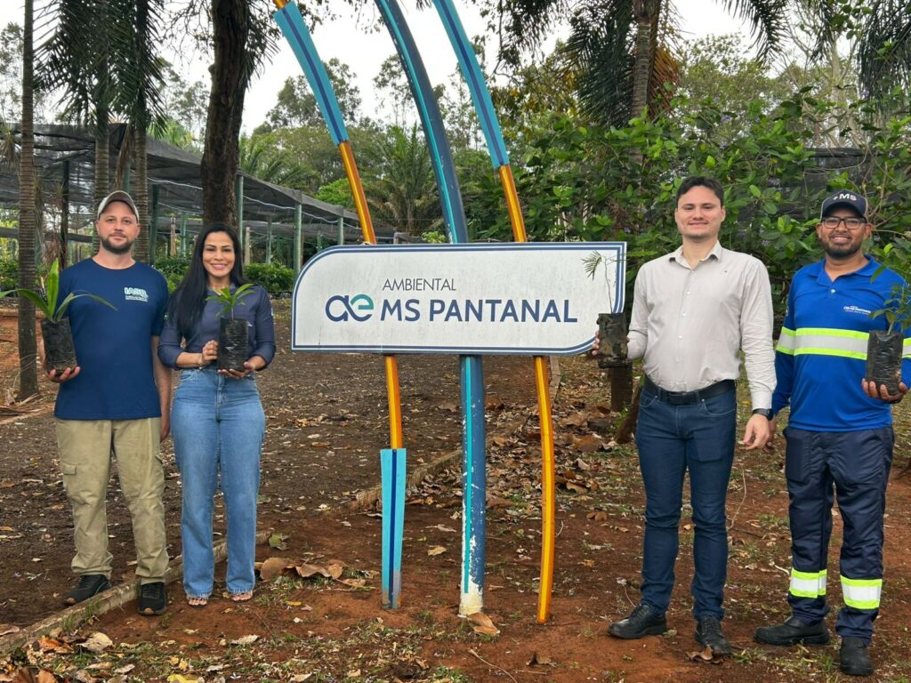 Doação de mudas pela MS Pantanal fortalece a preservação de nascentes na Serra da Bodoquena, em MS