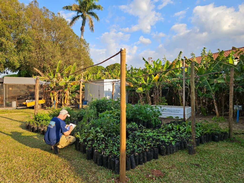 Doação de mudas pela MS Pantanal fortalece a preservação de nascentes na Serra da Bodoquena, em MS