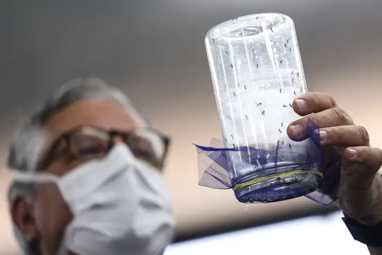 Brasília ganha biofábrica de mosquitos com tecnologia contra a dengue Brasília ganha biofábrica de mosquitos com tecnologia contra a dengue