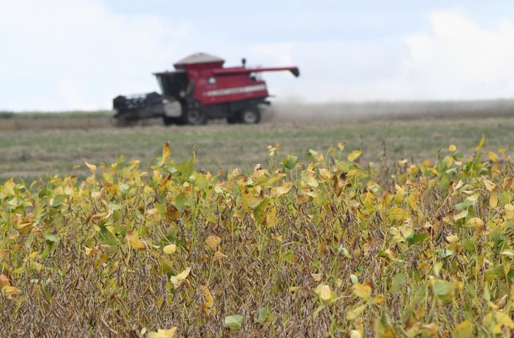Colheita-de-soja-Foto-Bruno-Rezende-07-730x480