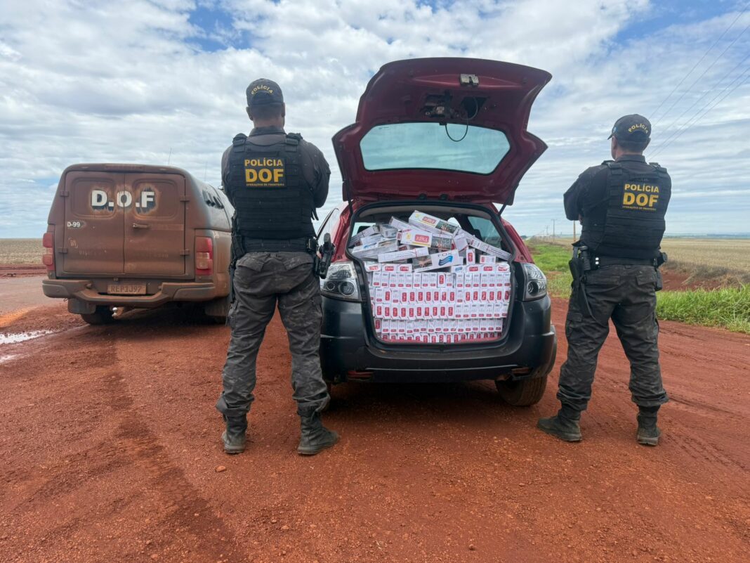 Imagem do WhatsApp de 2025-10-31 à(s) 08.51.30_d30b7f77