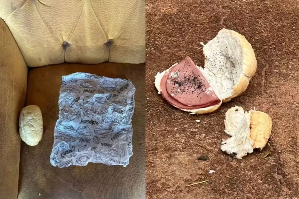 imagem_2025-10-28_165254821