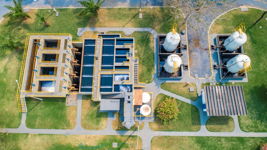 Do quintal urbano ao coração do Pantanal: Como o tratamento de esgoto ajuda a proteger a biodiversidade pantaneira