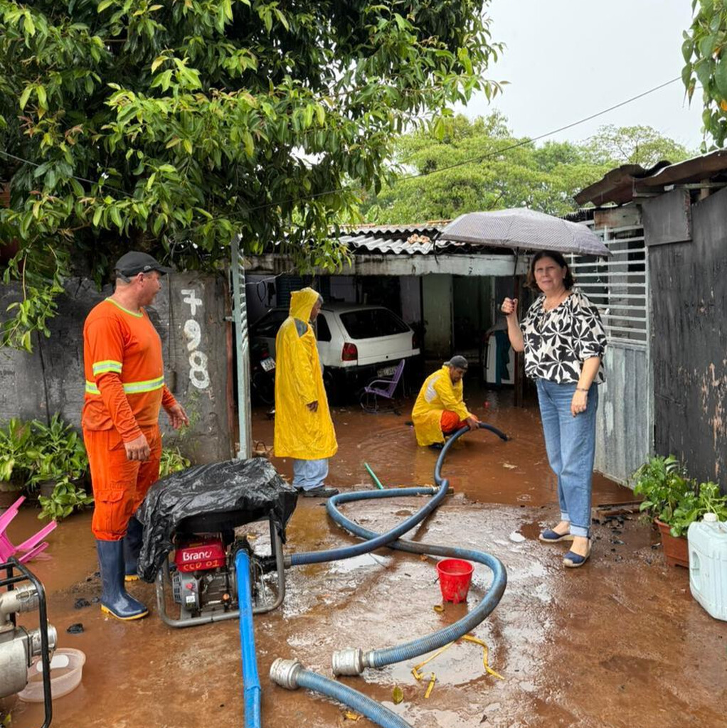 Chuva em Ponta Porã alaga 12 casas, danifica ruas e derruba árvores