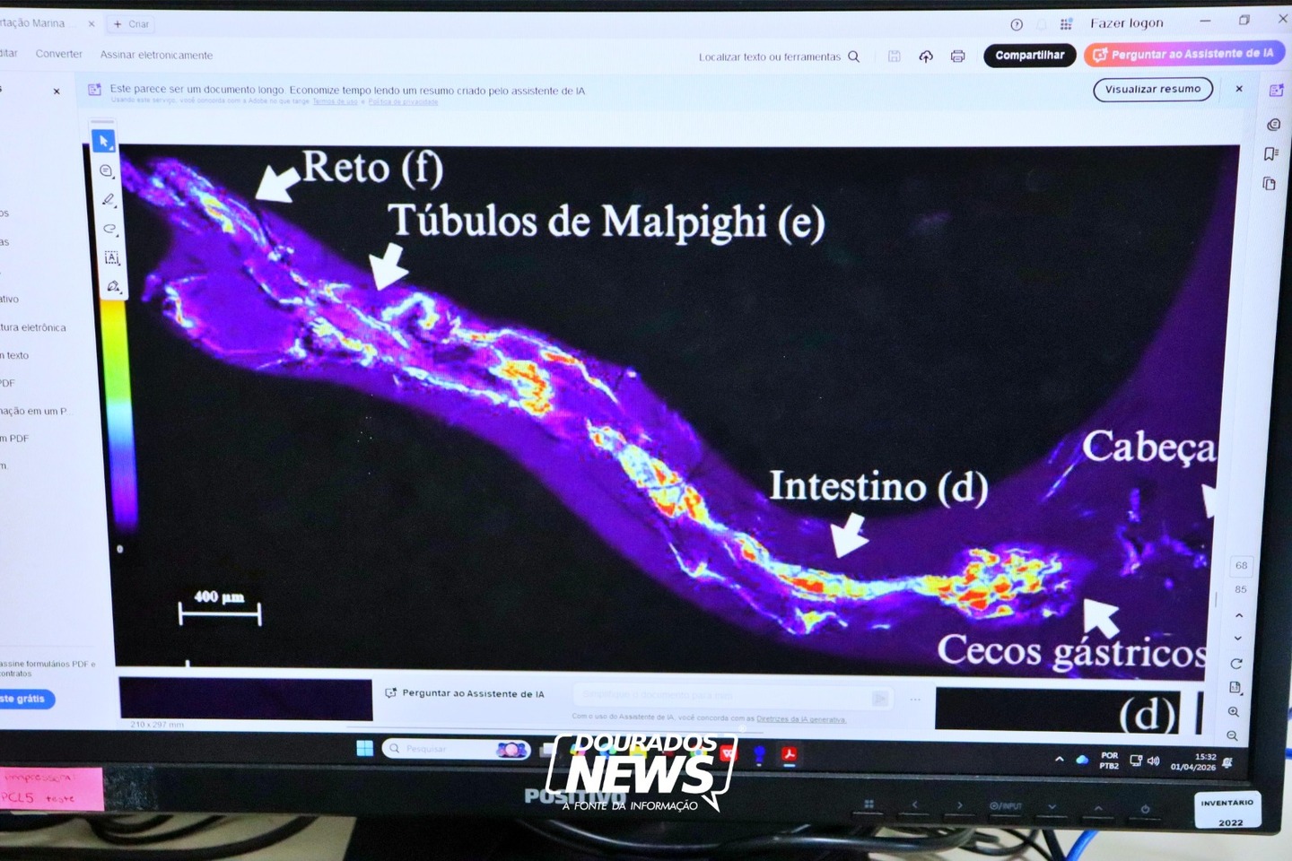 Com pesquisa avançada, larvicida contra o Aedes desenvolvido em Dourados é aplicado em campo