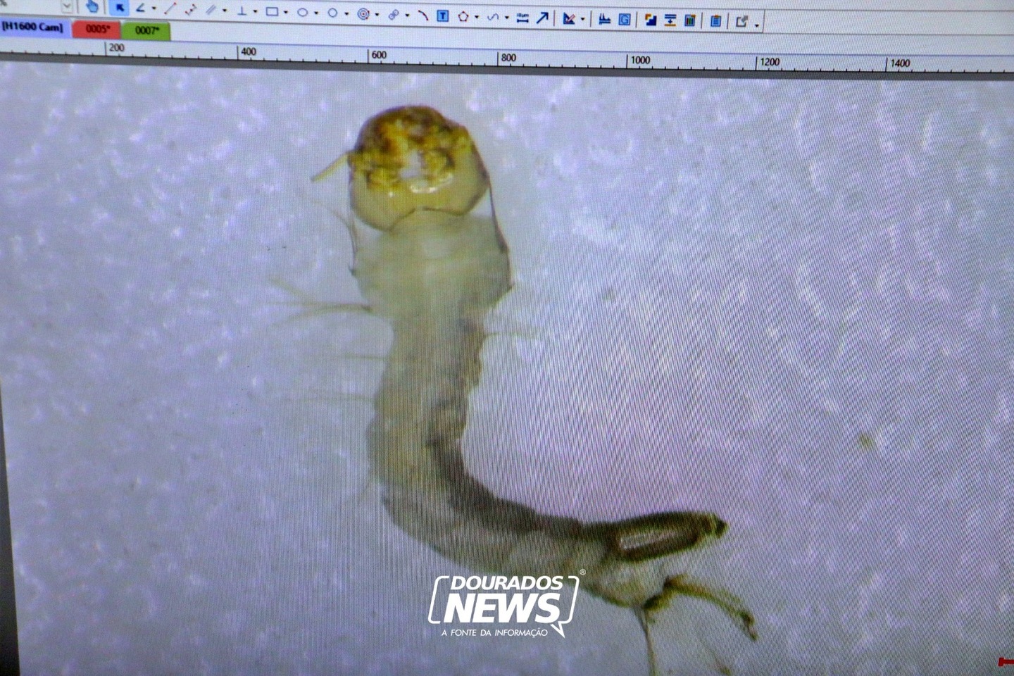 Com pesquisa avançada, larvicida contra o Aedes desenvolvido em Dourados é aplicado em campo