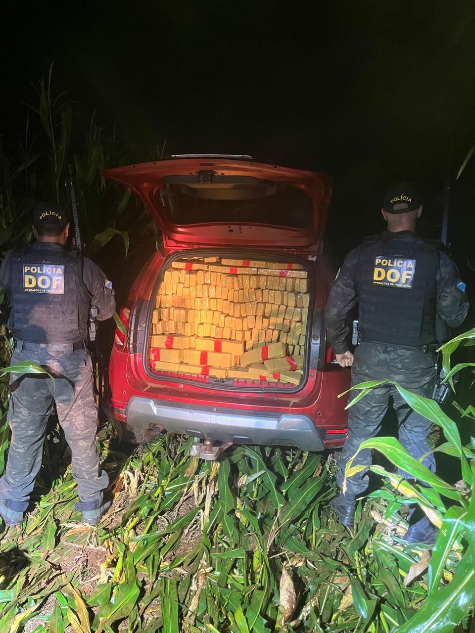 DOF apreende mais de uma tonelada de maconha e recupera veículo furtado após fuga em lavoura de milho DOF apreende mais de uma tonelada de maconha e recupera veículo furtado após fuga em lavoura de milho