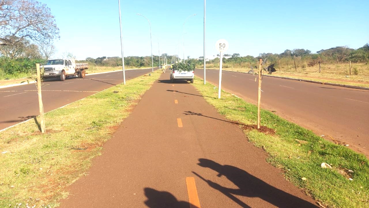 Prefeitura de Dourados conclui plantio de 360 mudas de ipês na Avenida dos Ipês