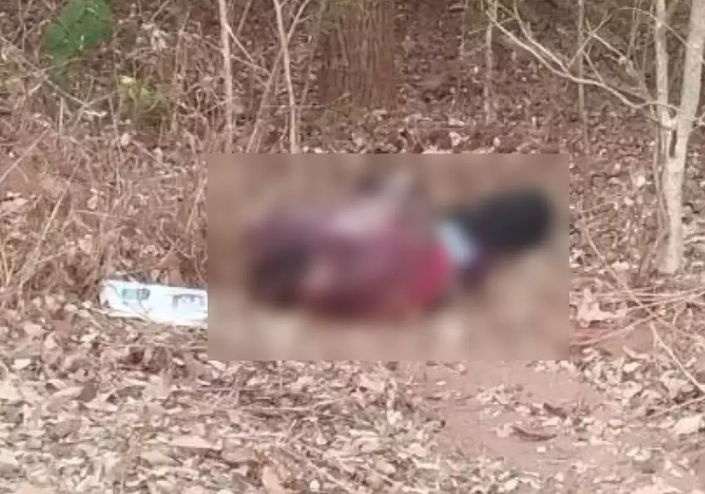 Falsa oferta de emprego levou homem a encontro que terminou em decapitação em Sonora Falsa oferta de emprego levou homem a encontro que terminou em decapitação em Sonora