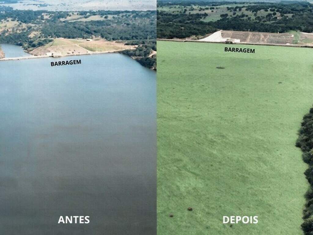 Usina diz que não foi comunicada de ordem para retirar plantas do Rio Pardo Usina diz que não foi comunicada de ordem para retirar plantas do Rio Pardo