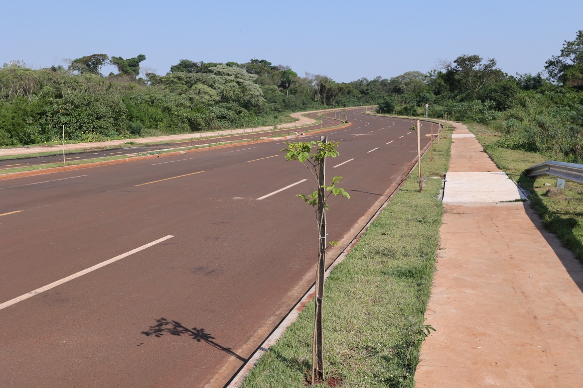 No Dia da Árvore, prefeito planta muda na Avenida dos Ipês, que também recebe espécies frutíferas No Dia da Árvore, prefeito planta muda na Avenida dos Ipês, que também recebe espécies frutíferas