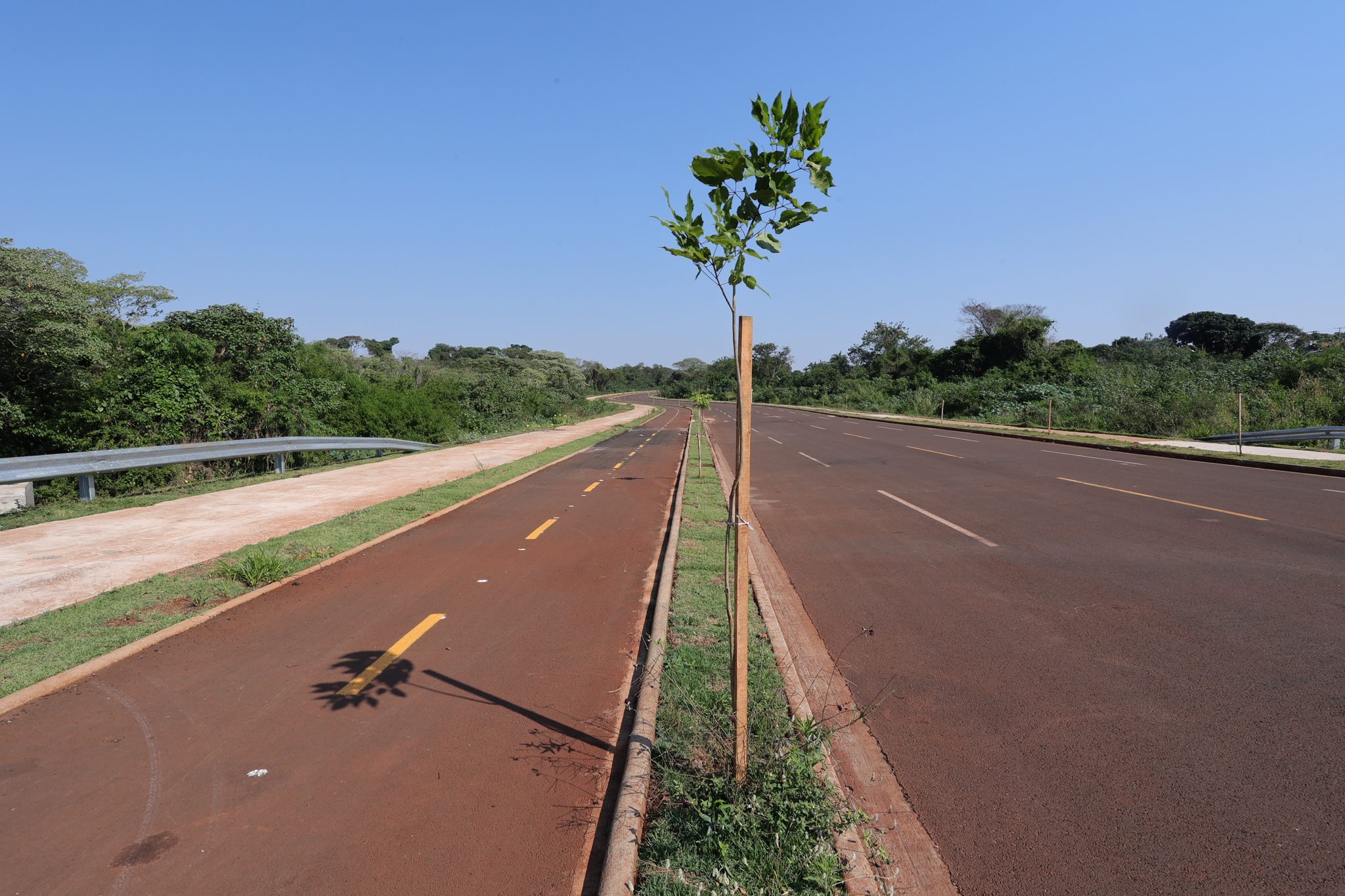 No Dia da Árvore, prefeito planta muda na Avenida dos Ipês, que também recebe espécies frutíferas No Dia da Árvore, prefeito planta muda na Avenida dos Ipês, que também recebe espécies frutíferas