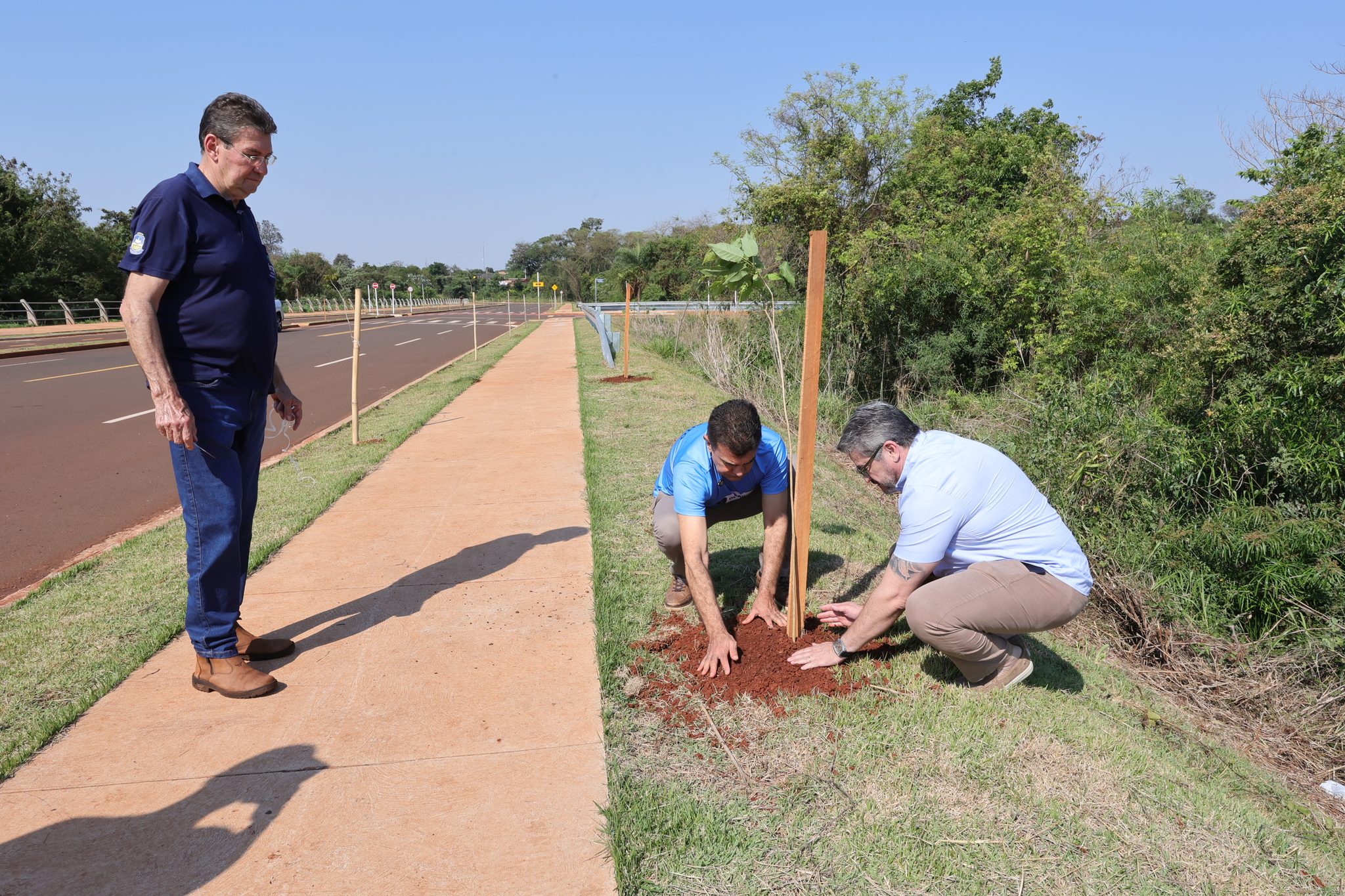 No Dia da Árvore, prefeito planta muda na Avenida dos Ipês, que também recebe espécies frutíferas No Dia da Árvore, prefeito planta muda na Avenida dos Ipês, que também recebe espécies frutíferas
