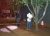 Homem de 48 anos é assassinado a tiros na Vila Cachoeirinha Homem de 48 anos é assassinado a tiros na Vila Cachoeirinha