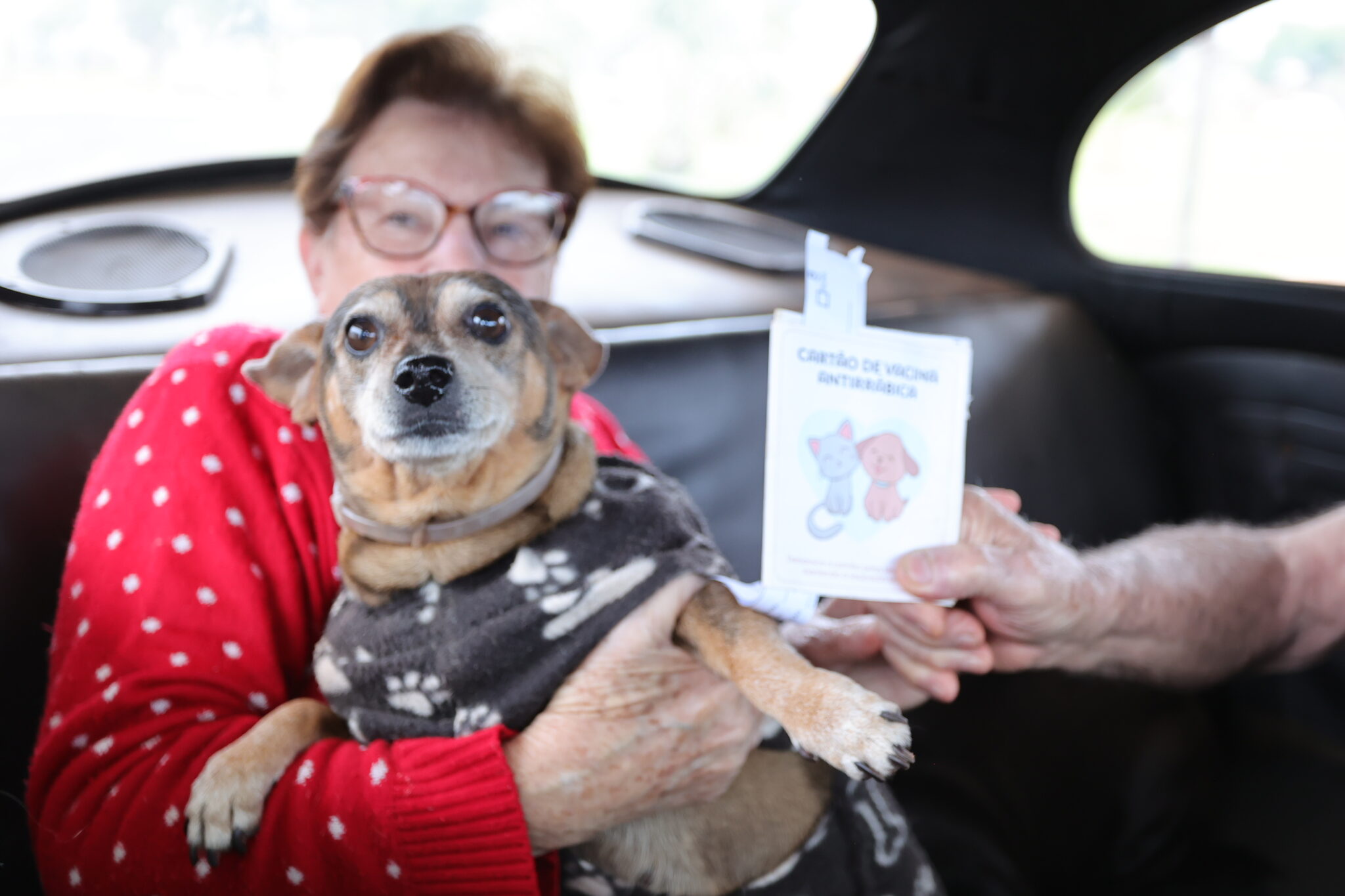 Prefeitura imuniza mais de 1,5 mil animais em drive-thru de vacinação antirrábica Prefeitura imuniza mais de 1,5 mil animais em drive-thru de vacinação antirrábica