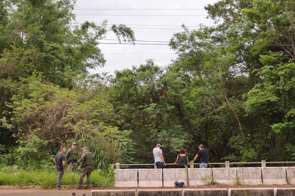 Mistério no córrego: restos de animais são de javalis, e não de capivaras Mistério no córrego: restos de animais são de javalis, e não de capivaras