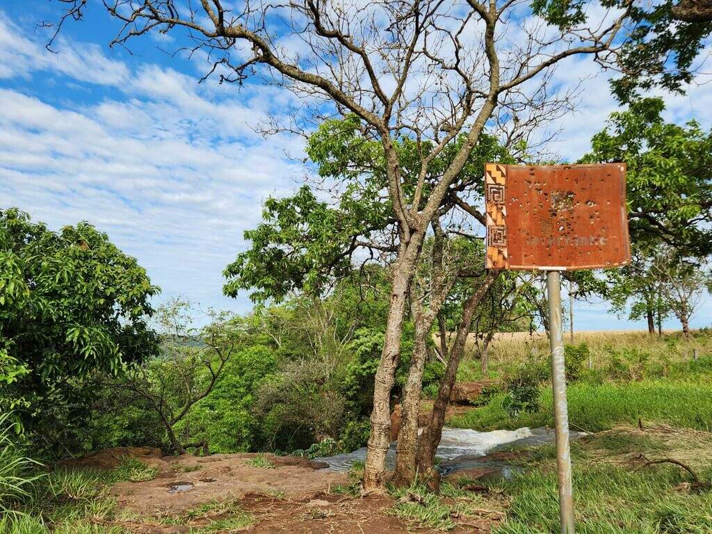 Símbolo da Cachoeira do Inferninho, figueira é arrastada pela força da água Símbolo da Cachoeira do Inferninho, figueira é arrastada pela força da água