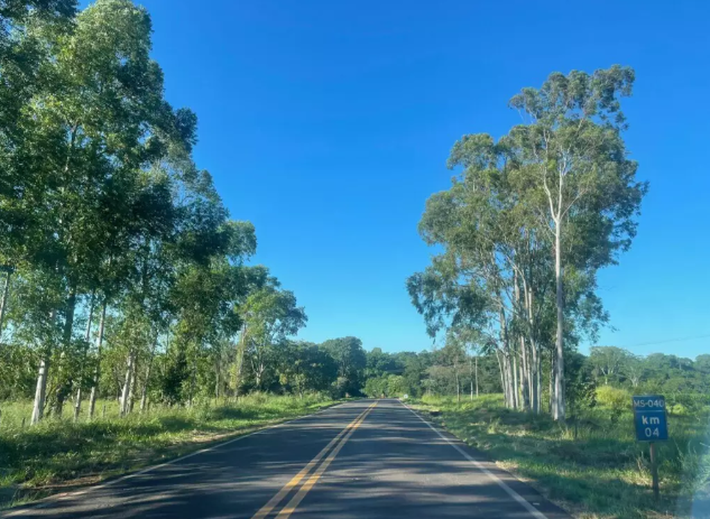 Inaugurada em 2014, "Estrada das Antas" deve ganhar 1ª passagem de fauna em 2027