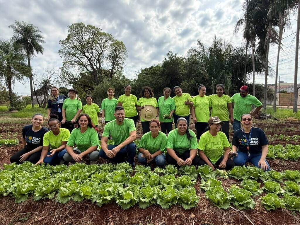 Da terra ao prato, horta quilombola faz florescer histórias e tradições Da terra ao prato, horta quilombola faz florescer histórias e tradições