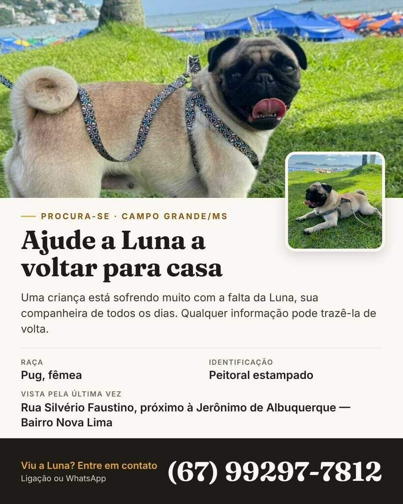 Pug com epilepsia desaparece e família pede ajuda para encontrá-la