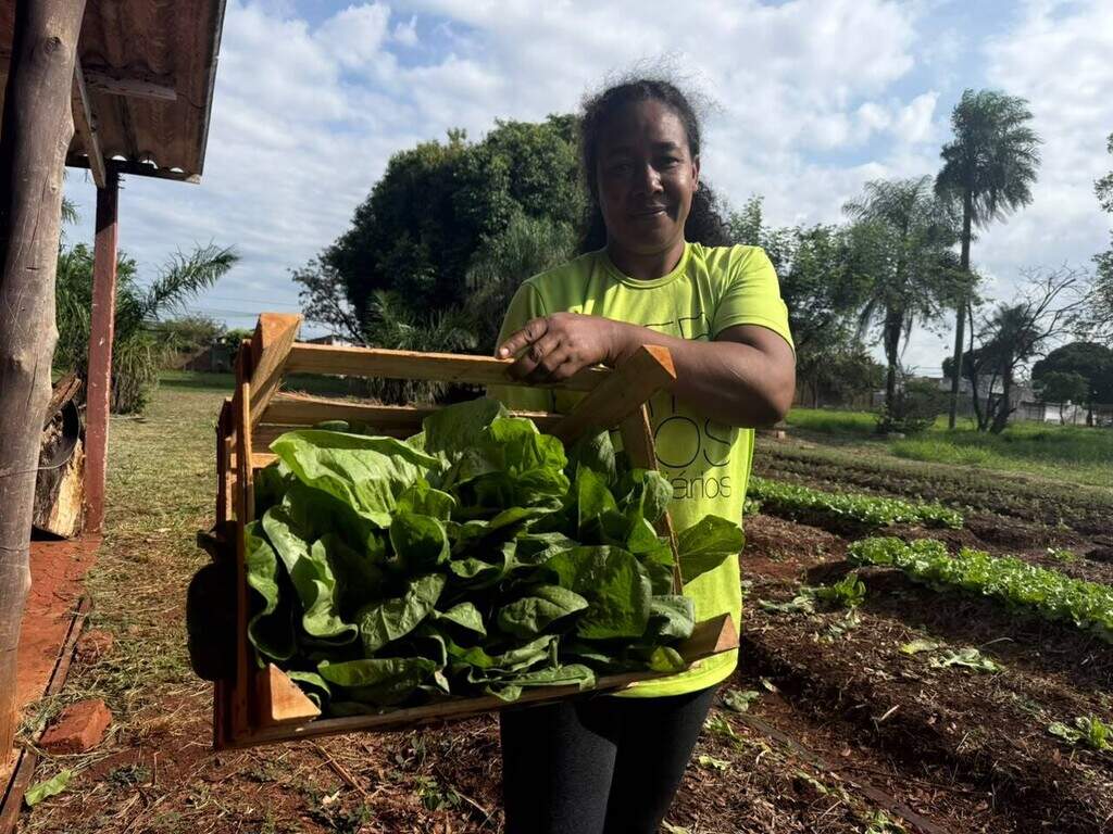 Da terra ao prato, horta quilombola faz florescer histórias e tradições Da terra ao prato, horta quilombola faz florescer histórias e tradições