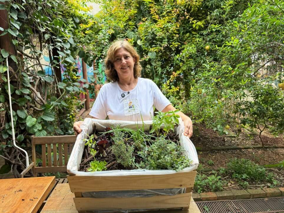 Sem quintal? Caixote vira horta portátil com temperos fresquinhos Sem quintal? Caixote vira horta portátil com temperos fresquinhos