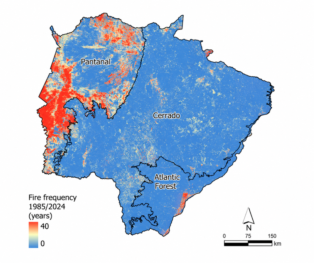 Incêndios causam mais perdas de carbono do que Pantanal consegue recuperar