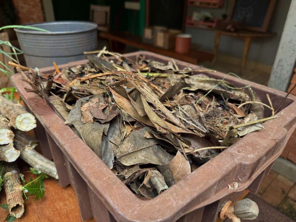 Sem quintal? Caixote vira horta portátil com temperos fresquinhos Sem quintal? Caixote vira horta portátil com temperos fresquinhos