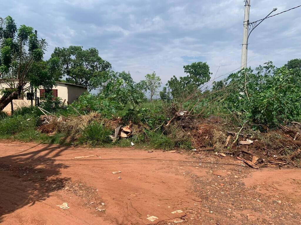 "Tá dominado": moradora reclama de rua que virou depósito de lixo "Tá dominado": moradora reclama de rua que virou depósito de lixo