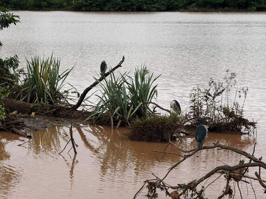 Água baixa no Lago do Amor e deixa para trás lixo espalhado pelas margens Água baixa no Lago do Amor e deixa para trás lixo espalhado pelas margens