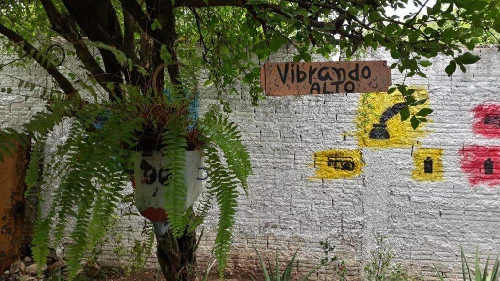 Por trás de fachada restaurada, hotel antigo esconde jardim de 72 metros