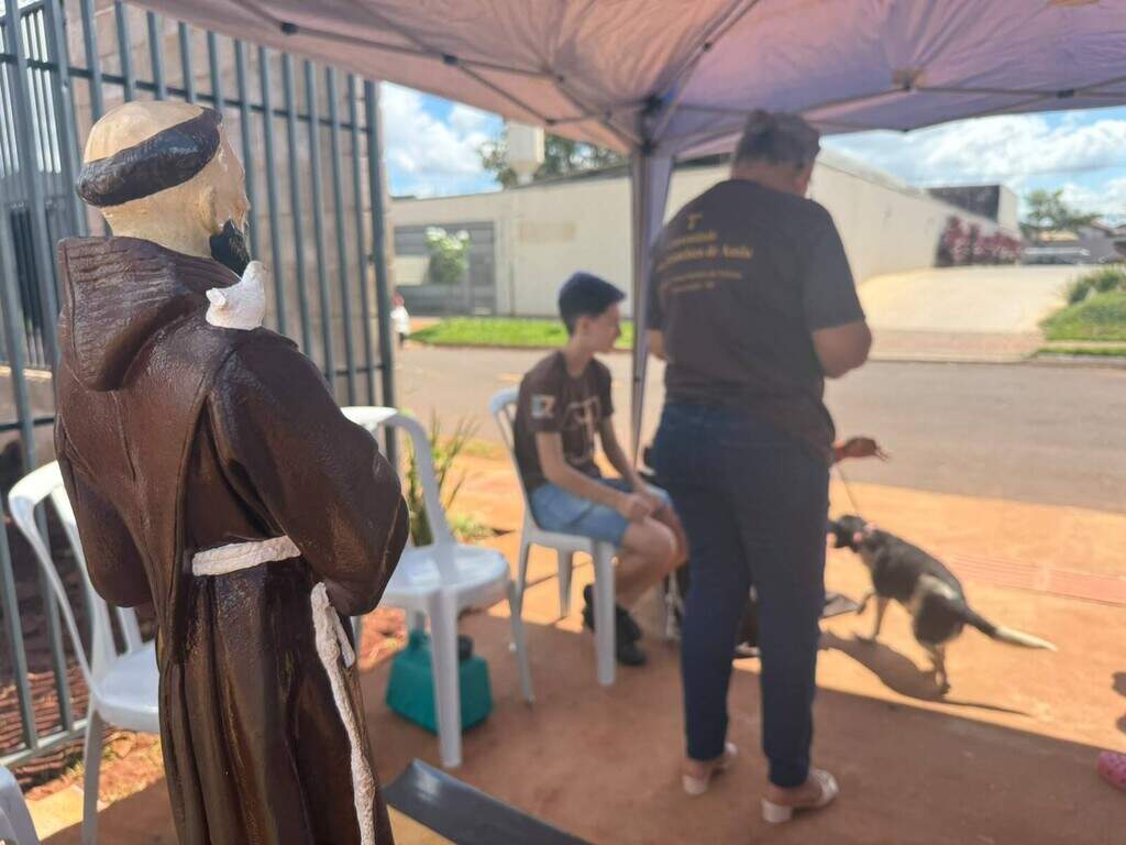 De tartaruga a cão de 15 anos, bênção reúne histórias de “milagres”