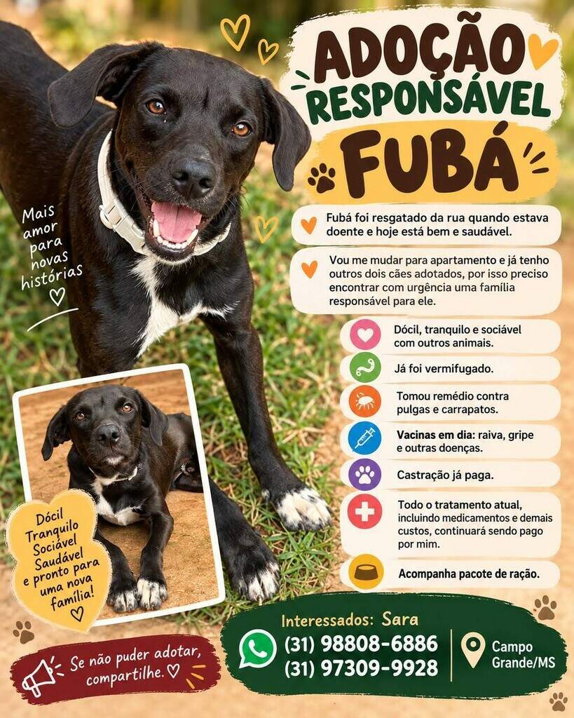 Fubá ganhou uma segunda chance e agora procura uma família