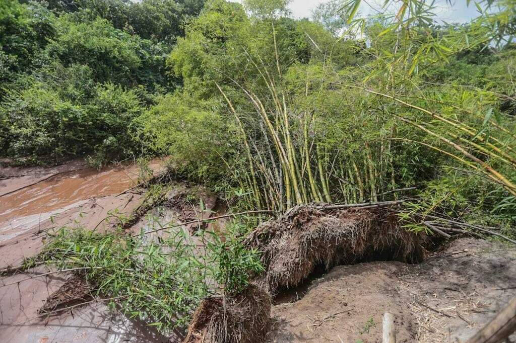 Lagoa Itatiaia e nascentes de córregos ganham plano de recuperação ambiental Lagoa Itatiaia e nascentes de córregos ganham plano de recuperação ambiental