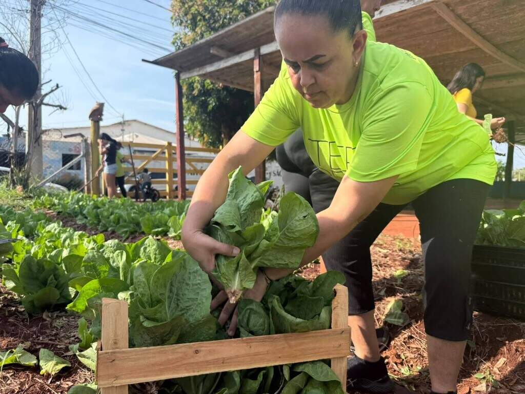 Da terra ao prato, horta quilombola faz florescer histórias e tradições Da terra ao prato, horta quilombola faz florescer histórias e tradições