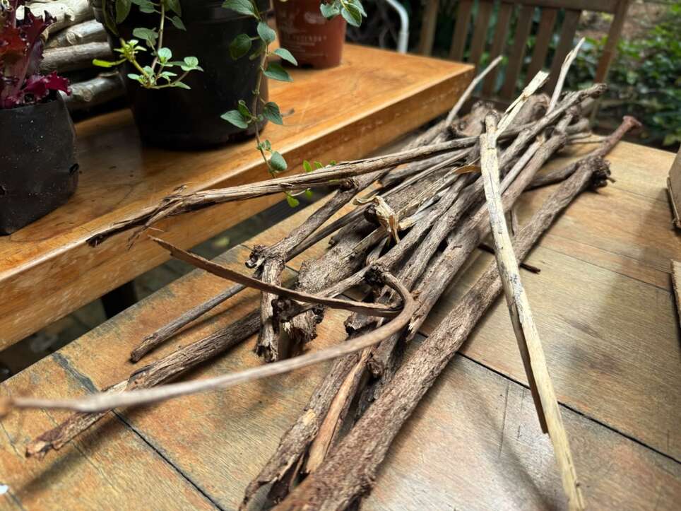 Sem quintal? Caixote vira horta portátil com temperos fresquinhos Sem quintal? Caixote vira horta portátil com temperos fresquinhos