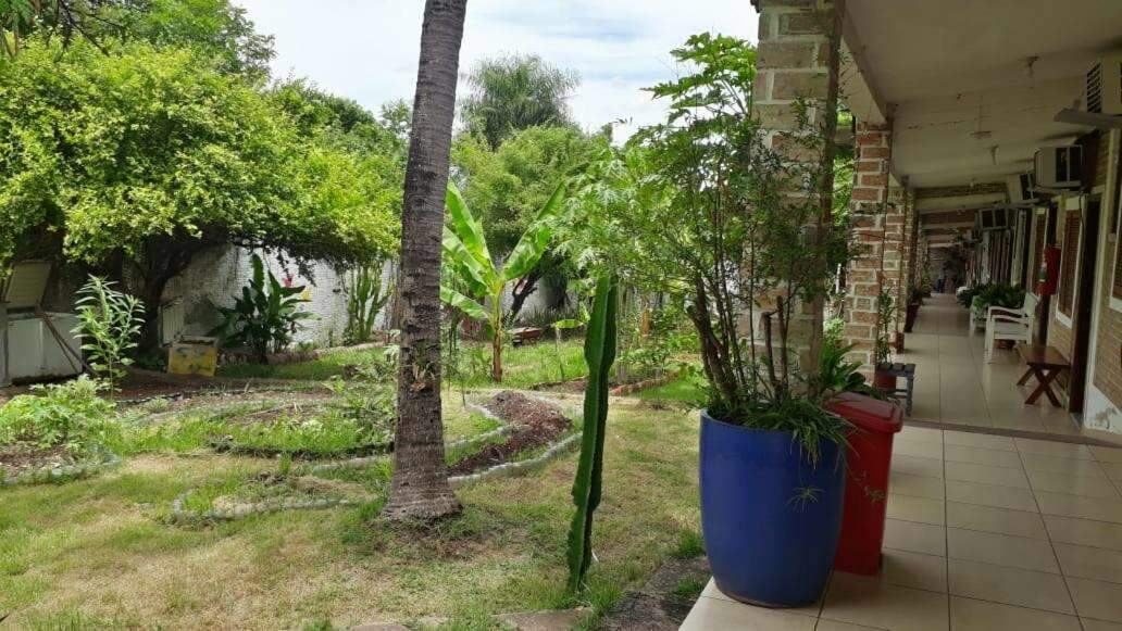 Por trás de fachada restaurada, hotel antigo esconde jardim de 72 metros