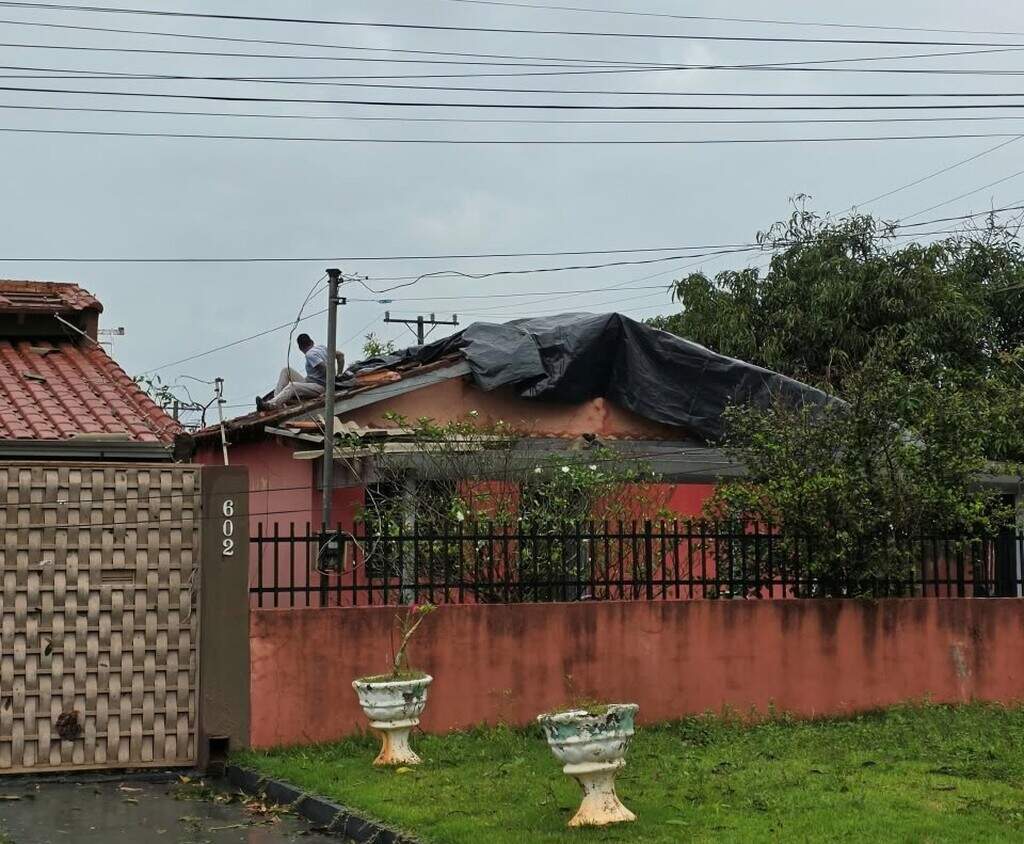 Temporal destelha 25 casas, derruba 20 árvores e afeta estradas em Amambai