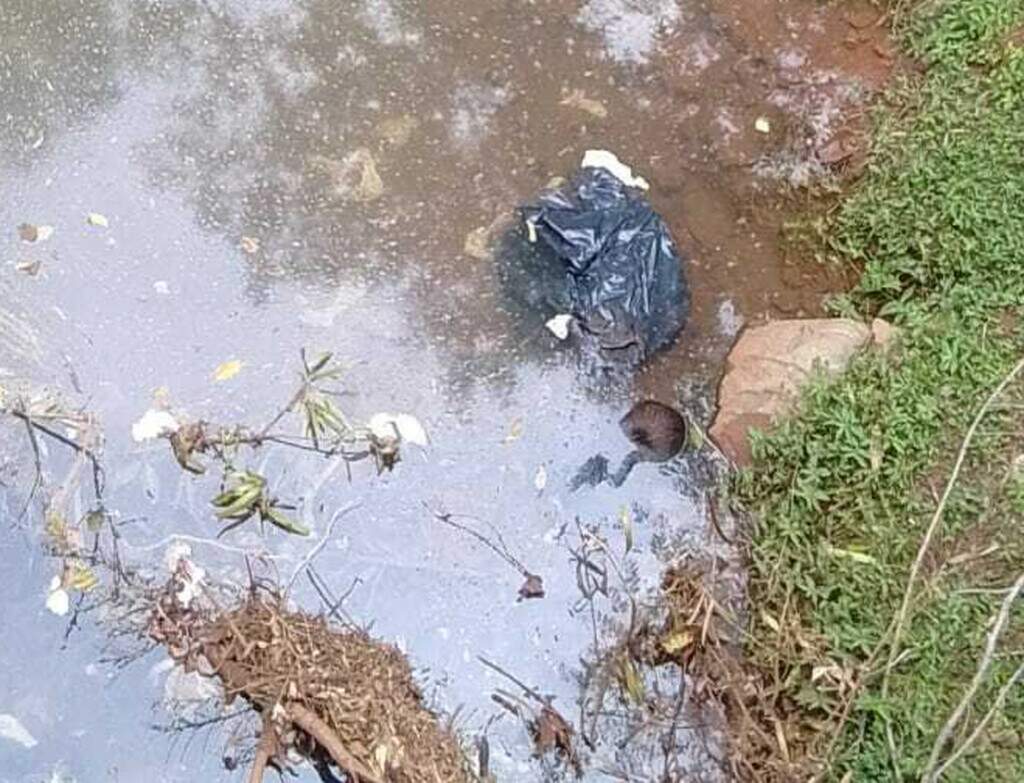 Restos de capivaras esquartejadas são encontrados espalhados em ponte na Capital Restos de capivaras esquartejadas são encontrados espalhados em ponte na Capital