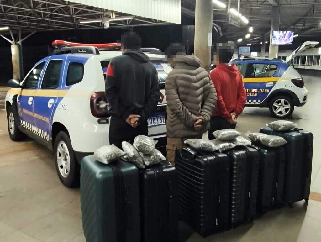 Trio é flagrado tentando embarcar para Curitiba com malas recheadas de maconha