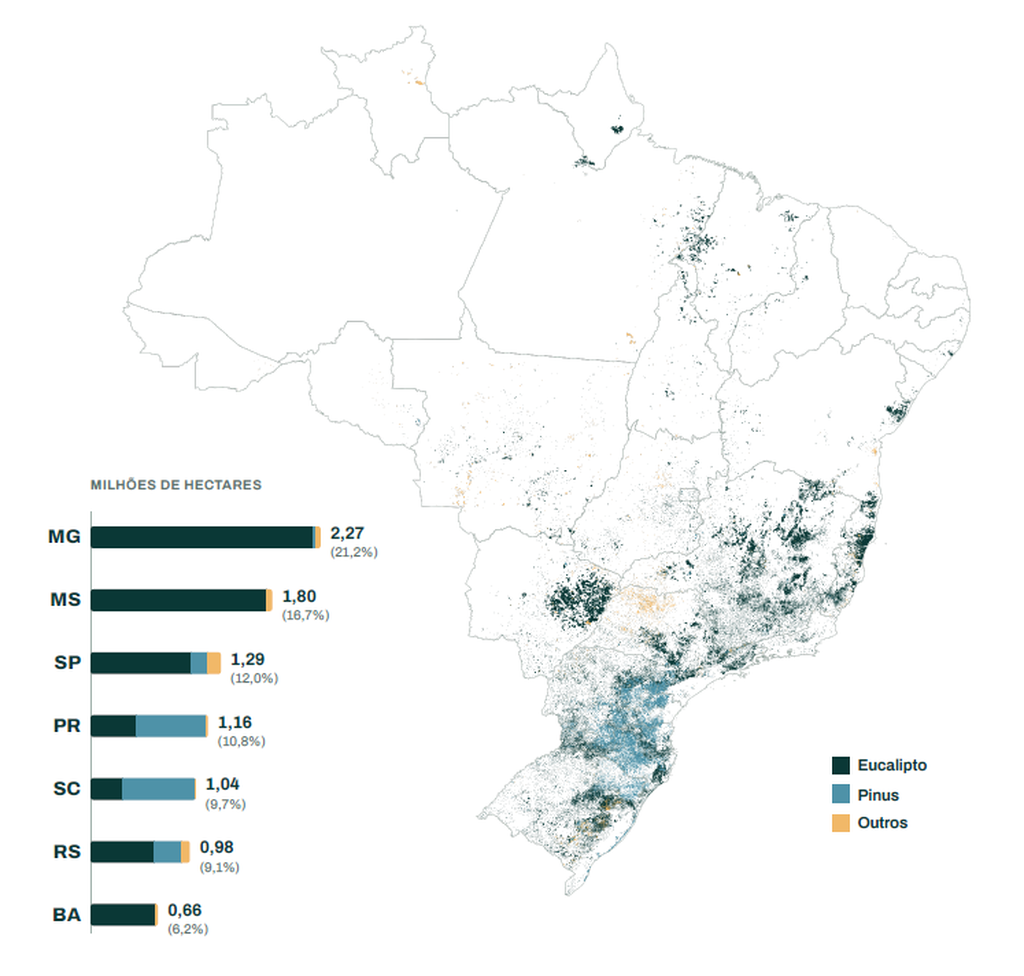 Expansão do eucalipto coloca MS atrás apenas de MG em florestas plantadas