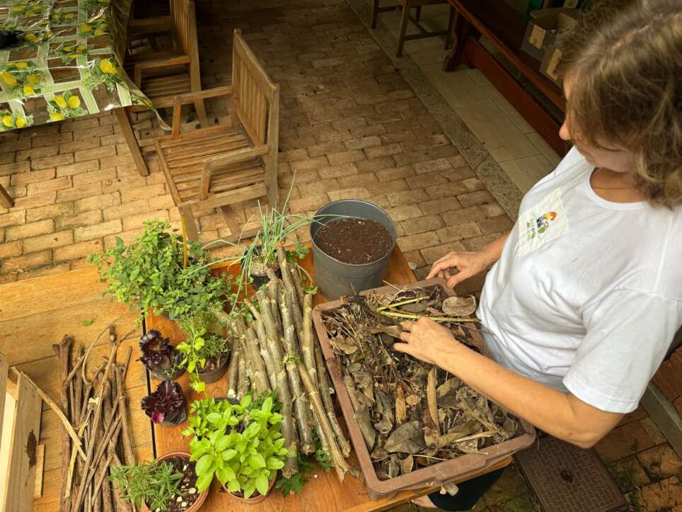 Sem quintal? Caixote vira horta portátil com temperos fresquinhos Sem quintal? Caixote vira horta portátil com temperos fresquinhos