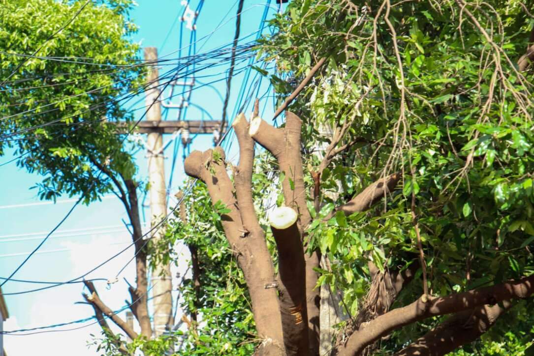 Onda de furtos de fios deixa comerciantes inseguros no Centro Onda de furtos de fios deixa comerciantes inseguros no Centro