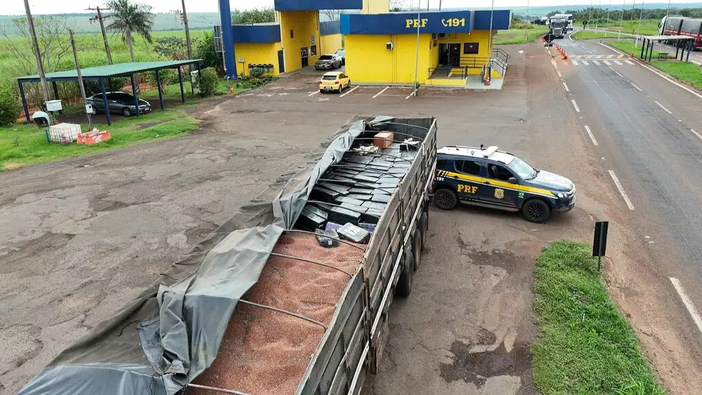 Maconha apreendida com 4 fuzis é incinerada pela PF em Naviraí Maconha apreendida com 4 fuzis é incinerada pela PF em Naviraí