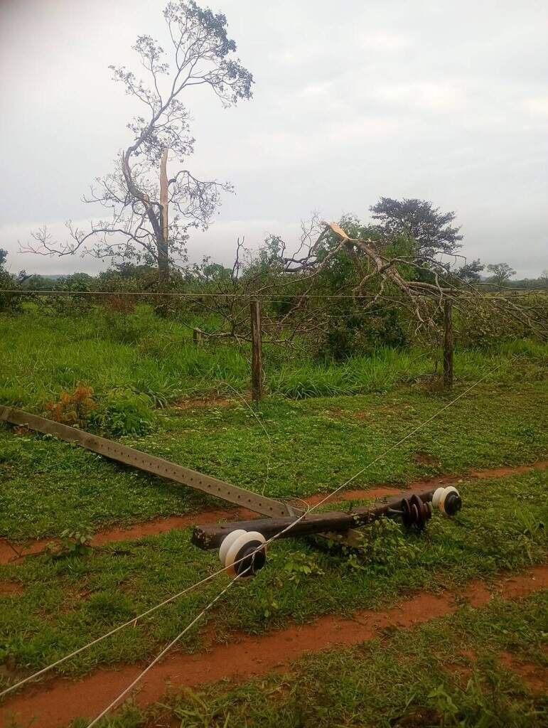 Vento e chuva derrubam árvores e deixam zona rural sem energia em Aquidauana Vento e chuva derrubam árvores e deixam zona rural sem energia em Aquidauana